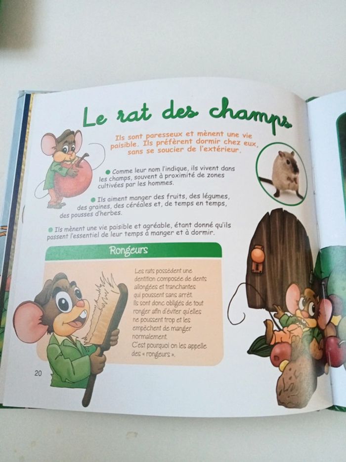 Le rat des villes et le rat des champs - photo numéro 4