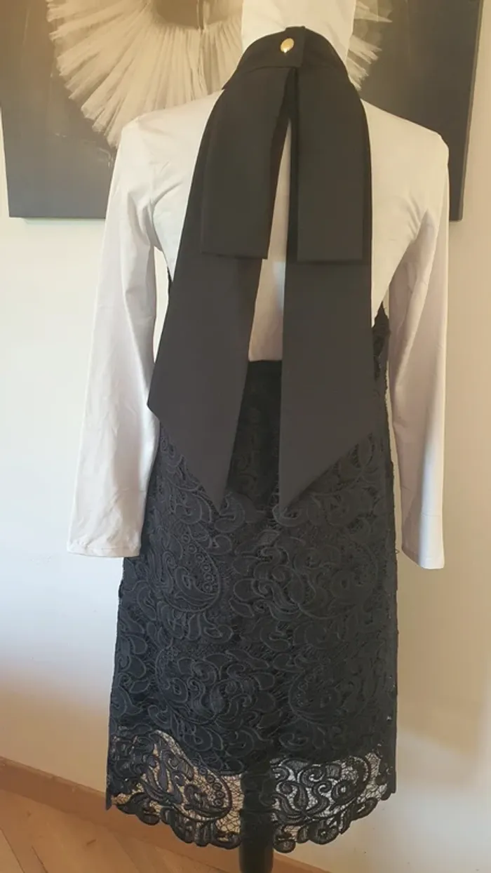 Robe dos nu - photo numéro 3