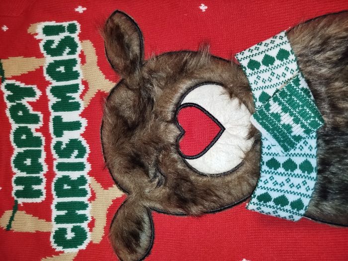 🦌✨ Pull de Noël lumineux – Rudolf n’a qu’à bien se tenir ! ✨🦌 - photo numéro 5