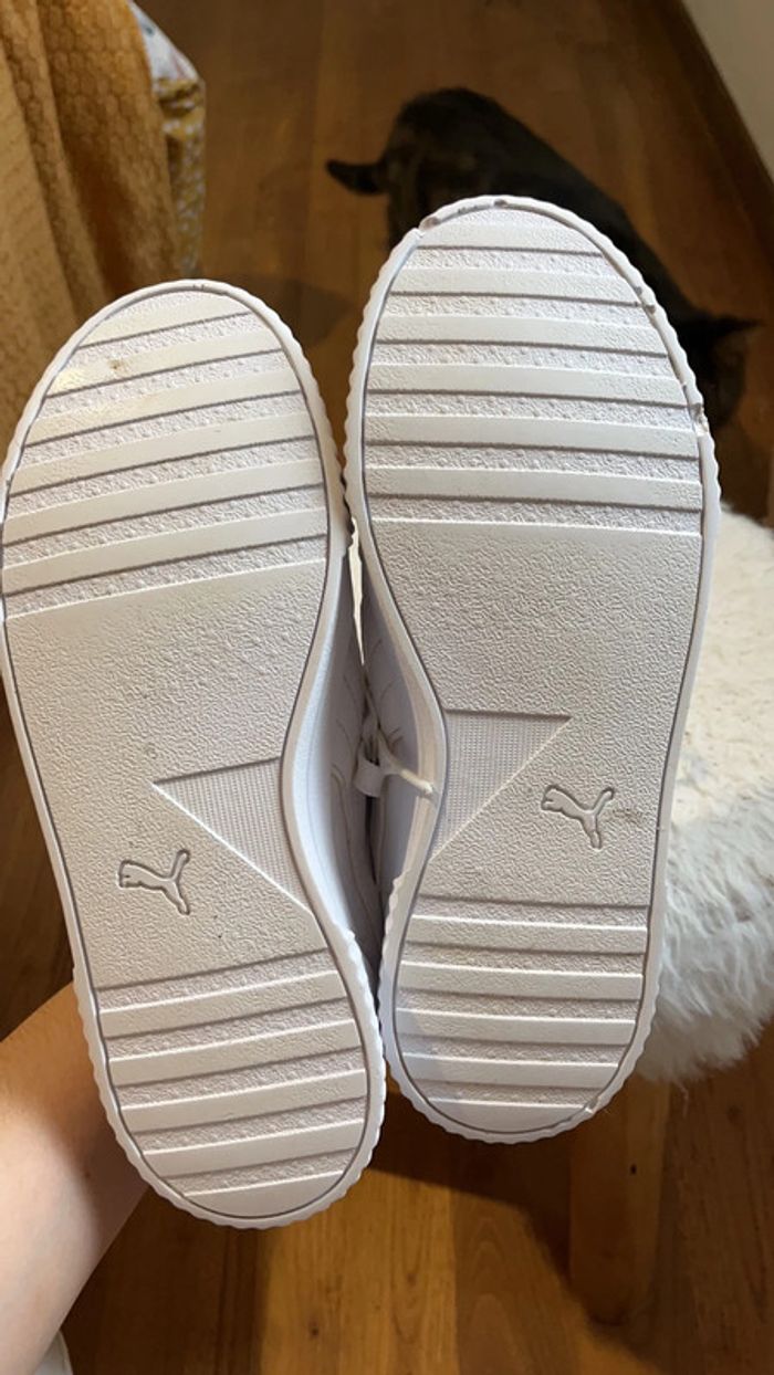 Paire puma - photo numéro 4