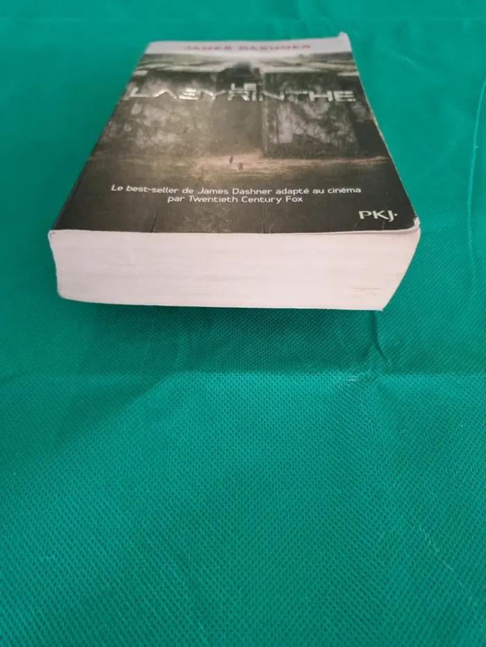 Le labyrinthe L'épreuve Livre 1 James Dashner - photo numéro 2