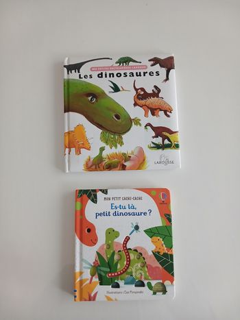 Lot 2 livres Dinosaures