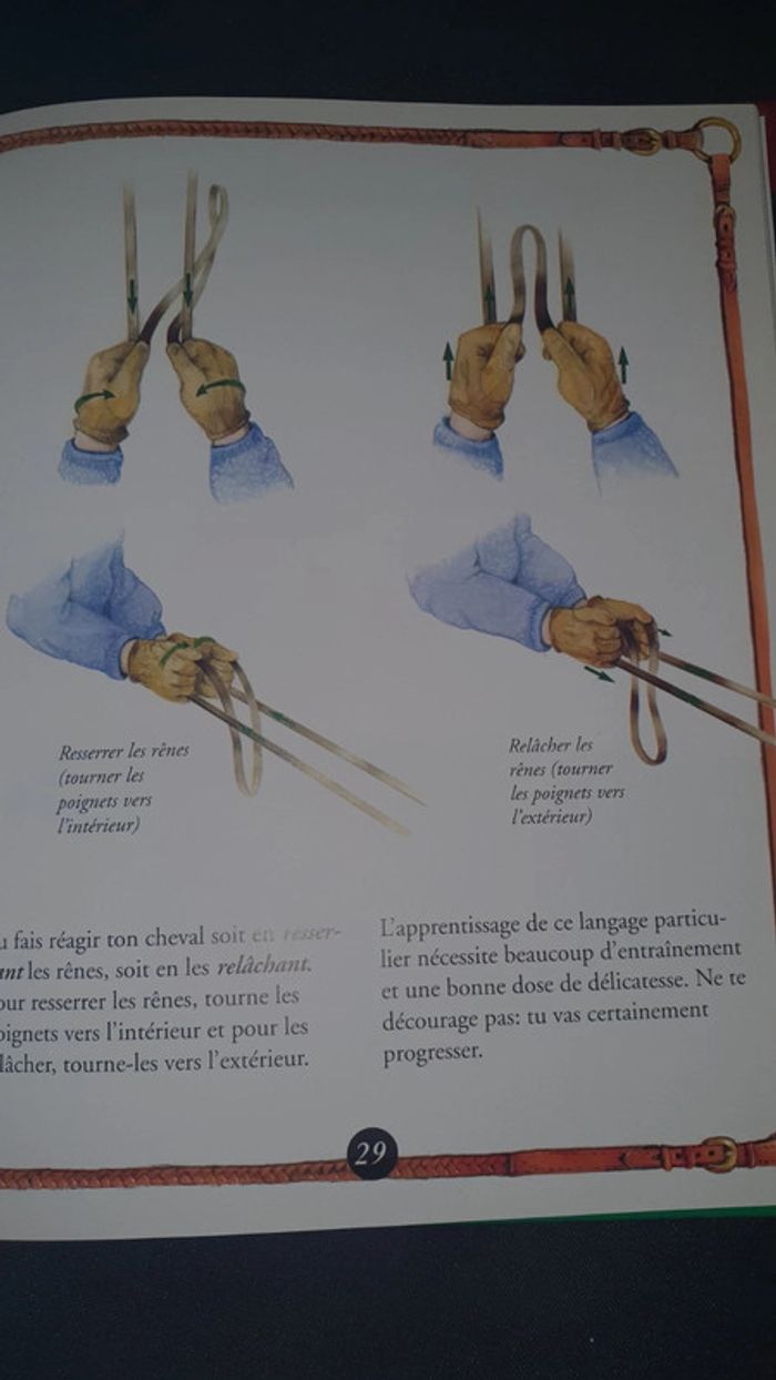 Mon livre d'equitation - photo numéro 4