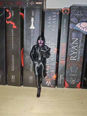 stalker  de la purge 