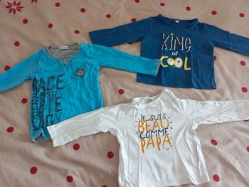 Lot de 3 tee-shirts manches longues 18 mois