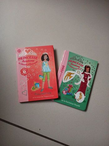 Bibliothèque rose princesse