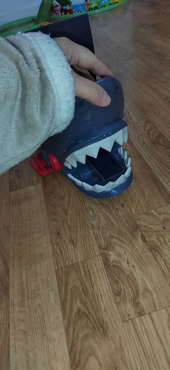 Bâteau requin - photo numéro 2
