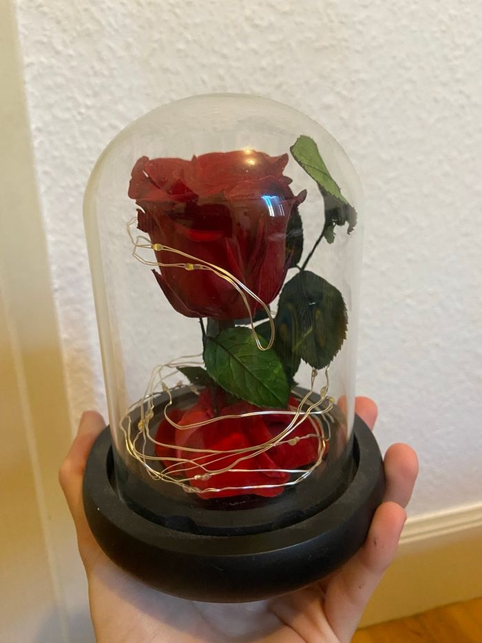 Rose éternelle rouge