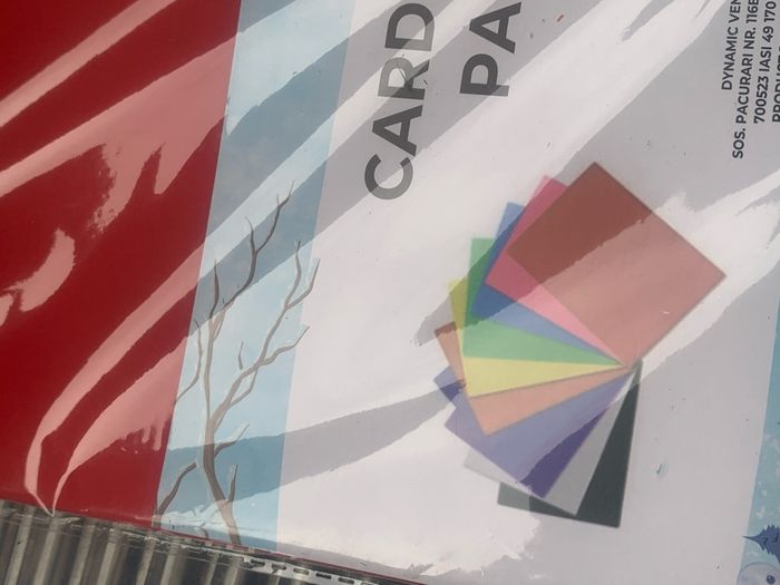 Lot  de 20 feuilles cartonnés - photo numéro 3