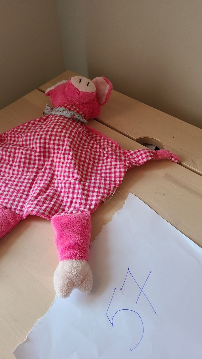 Doudou cochon - photo numéro 5