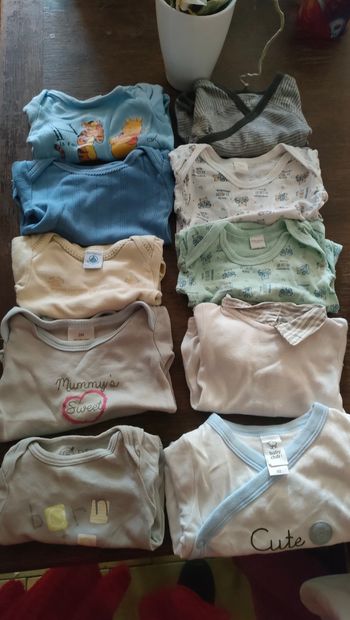 Lot 10 bodies