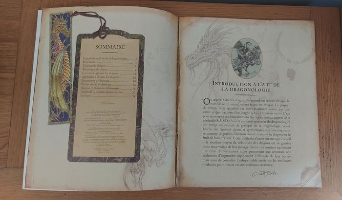 Dragonologie guide pratique du débutant - Milan jeunesse - photo numéro 3