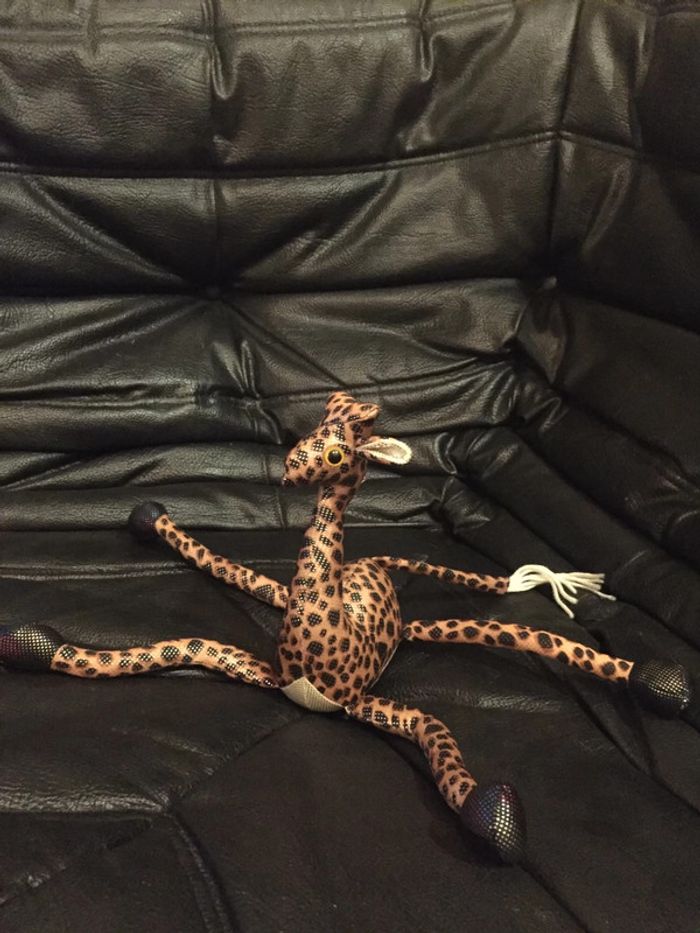 Girafe pattes molles - photo numéro 2