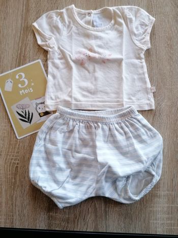 Ensemble tee-shirt + short