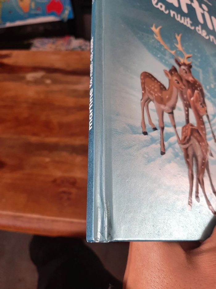 Livre Martine la nuit de Noël - photo numéro 2