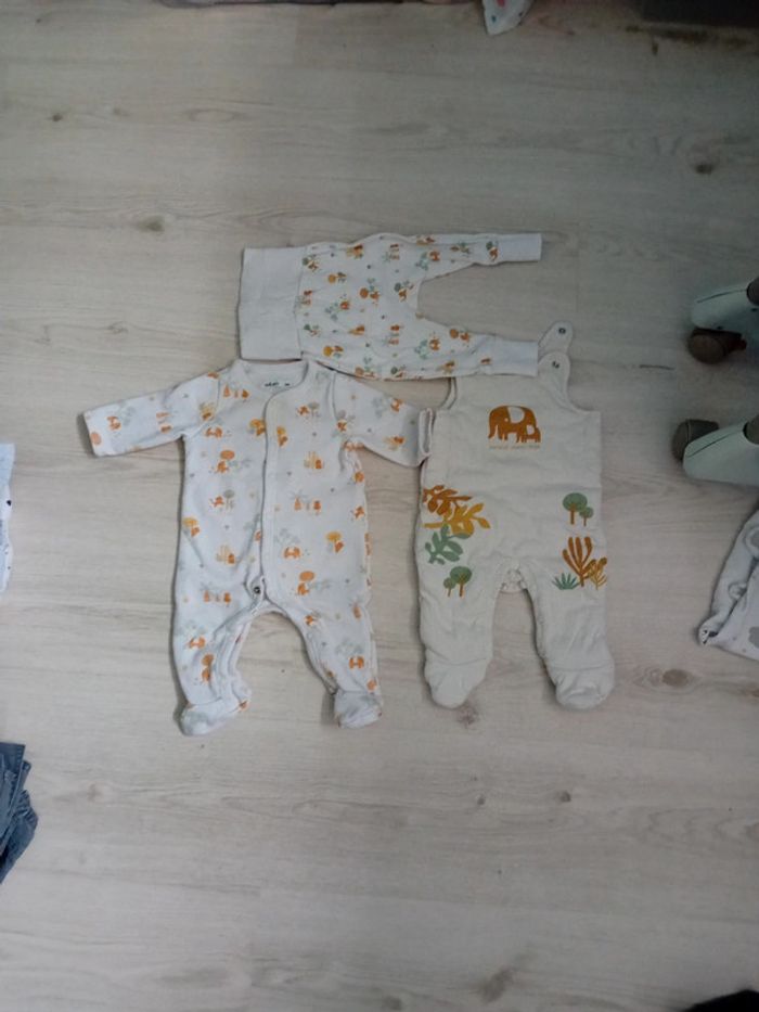 Ensemble jungle