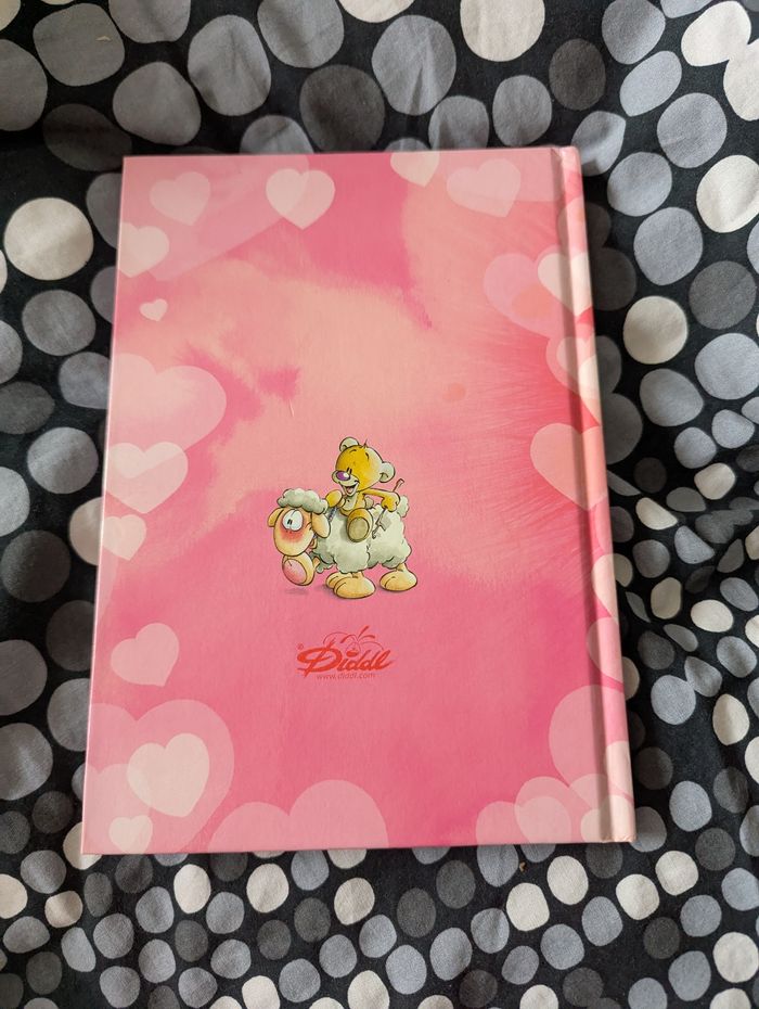 Cahier de texte diddl - photo numéro 6