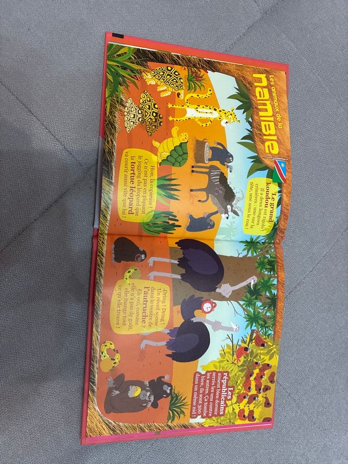 Les animaux drôles du monde - photo numéro 3