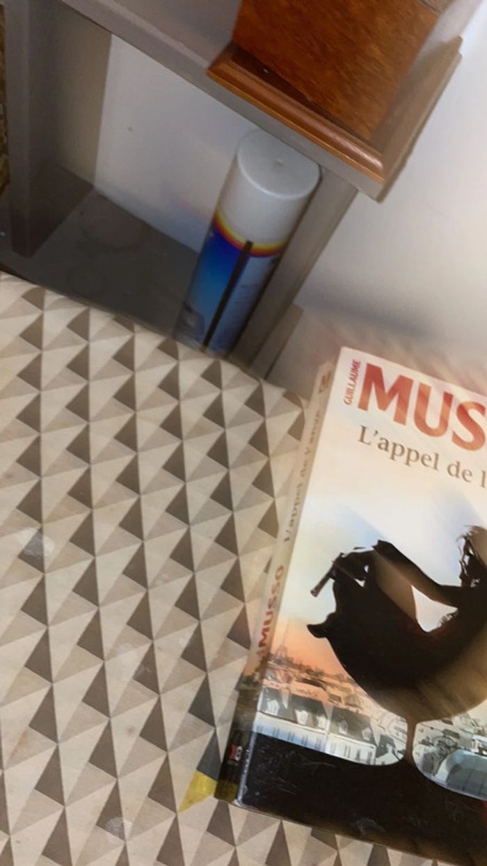 13 livres  de musso - photo numéro 5