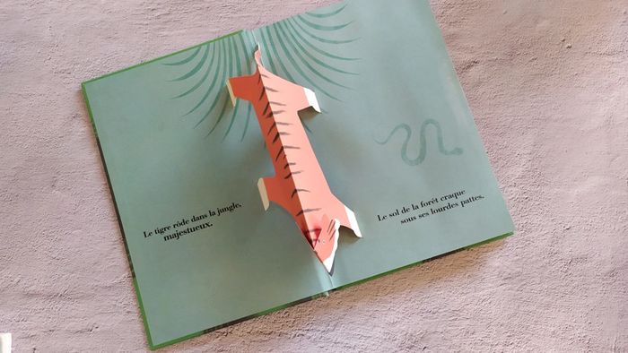 Livre pop up animaux - photo numéro 2