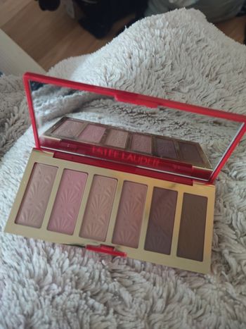 Ombre estee Lauder limited 