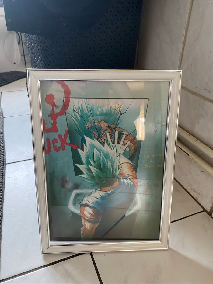Cadre dragon ball