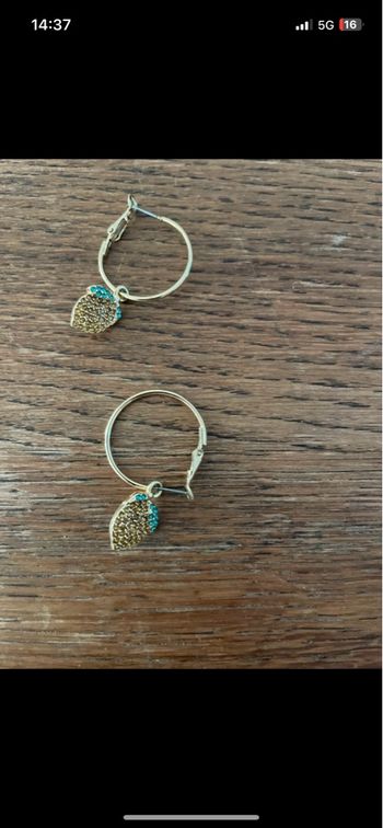 Boucle d’oreilles 