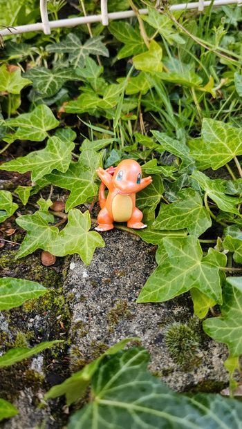 Super figurine Pokemon Nintendo Salameche effet brillant