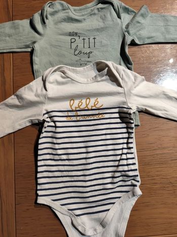 Lot de 2 bodies taille 9 mois TAO