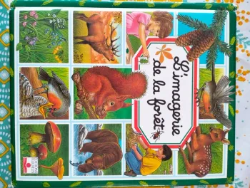 L'imagerie de la forêt