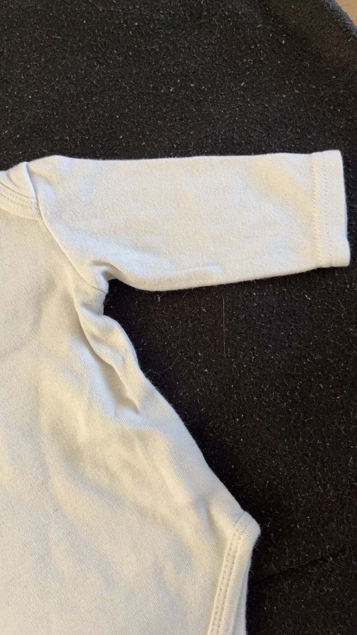 Bodie 3 mois - photo numéro 4