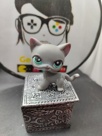 Lps01111 My Littlest Petshop Pet Shop LPS Authentic Chat Cat Shorthair 126