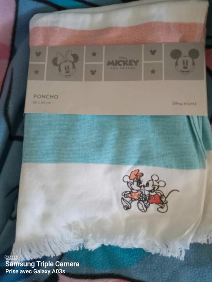 poncho disney