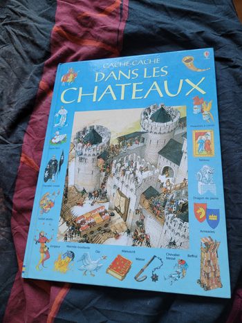 Cache cache dans les chateaux