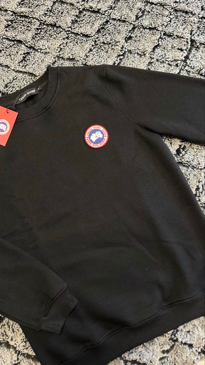 Pull homme - photo numéro 2