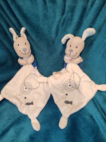 2 chiens pommette bleu et blanc