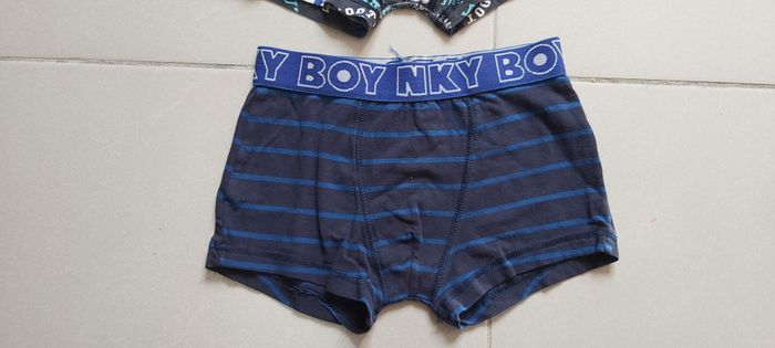 Boxer - photo numéro 4