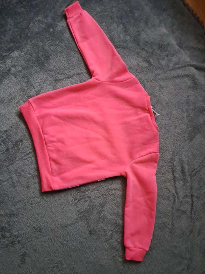 Promotion - photo numéro 5