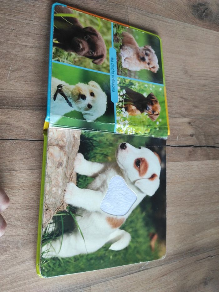 Regarde et touche ! - photo numéro 4