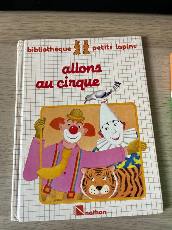 Lot livre enfants - photo numéro 8
