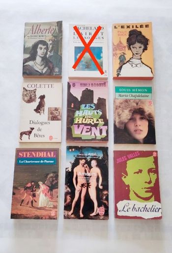 Lot de livres de poche