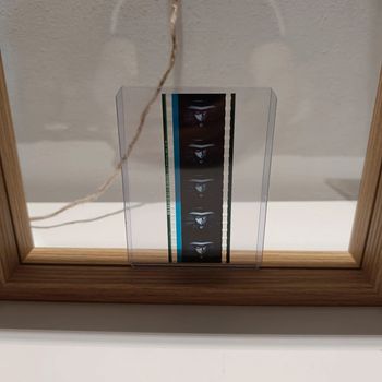 Pellicule démon slayer muzan