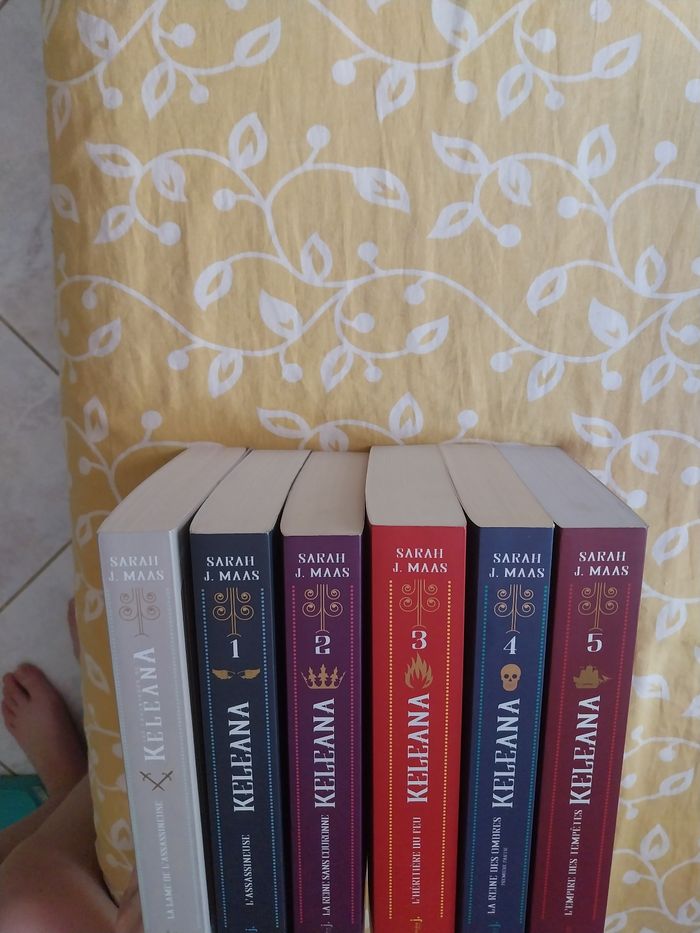 6 Romans Keleana tomes 0.5 à 5- Sarah J. Maas La Martinière - photo numéro 3