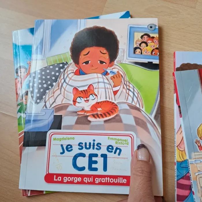 Livre lecture CE1 #flammarion - photo numéro 6