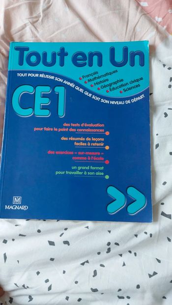 Fichier Tout en Un  Ce1