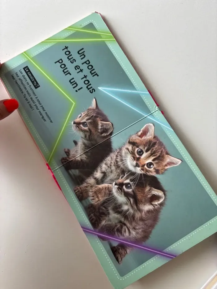 Livre, chats mignons - photo numéro 5