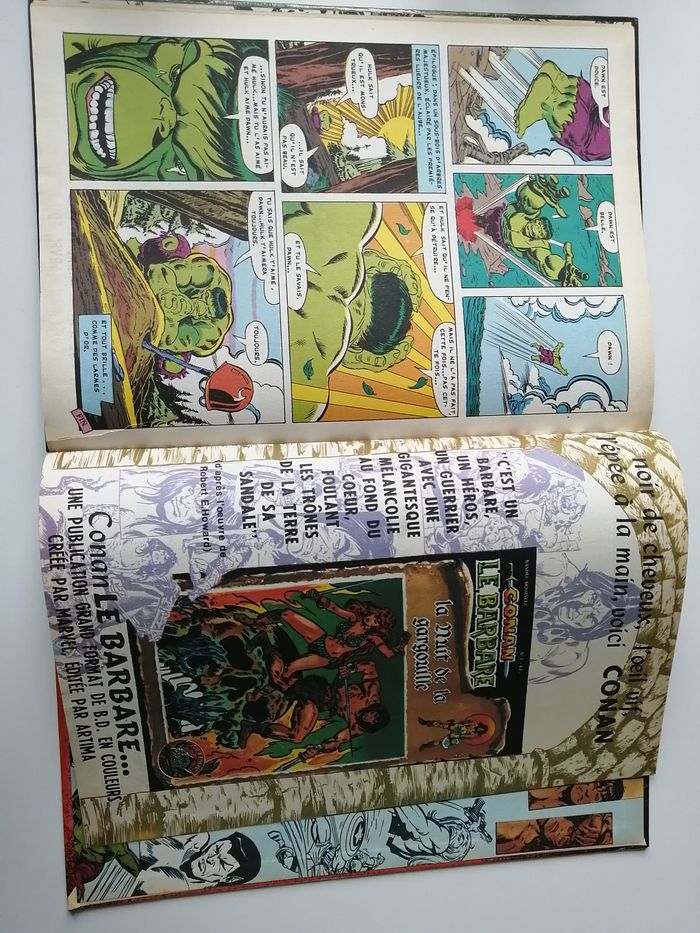 l'incroyable hulk - photo numéro 8