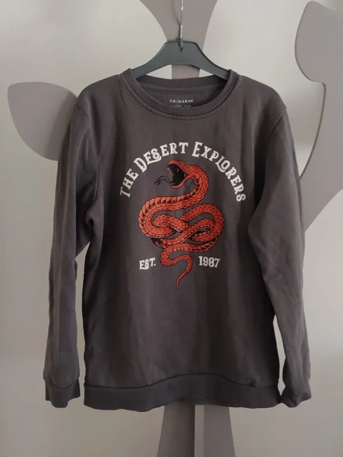 Sweat gris Primark taille 11-12 ans