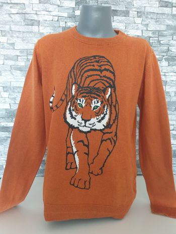 Pull Tigre H&M  8 ans
