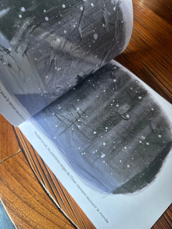 Livre : le renard blanc - photo numéro 3